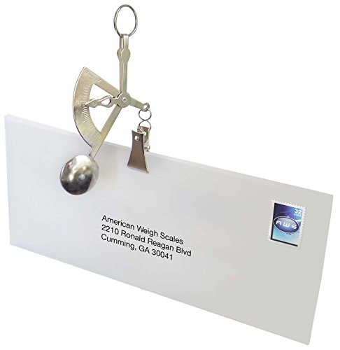 AMERICAN WEIGH SCALES Letter Postage or Kitchen Digital Scale, Silver, 100G x 1G (AMWHAND-SIL)