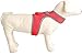 Dog Backpack Harness Puppy Vest - Soft Mesh Pet Padded Harnesses with Pocket,Red Small