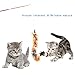 Retractable Wand , Multi Feather Teaser and Exerciser For Your Cat and Kitten - Cat Toys Interactive Cat Wand (8PCS)