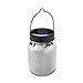 AGPtEK Solar Mason Jar Solar Lamp with Hook, Solar Led Light Up Sparkling Star for Glass Mason Jars and Garden Decor Solar Lights