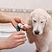 oneisall Dog Nail Grinder - Low Noise Pet Nail Trimmer, Cordless & Electric Rechargeable Nail Grinder, Paws Grooming & Smoothing for Small Medium Dogs Cats