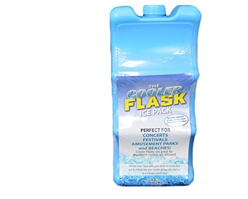 Cooler Flask 20oz Ice Pack Flask Ice Box Flask Hidden flasks by Smuggle Mug