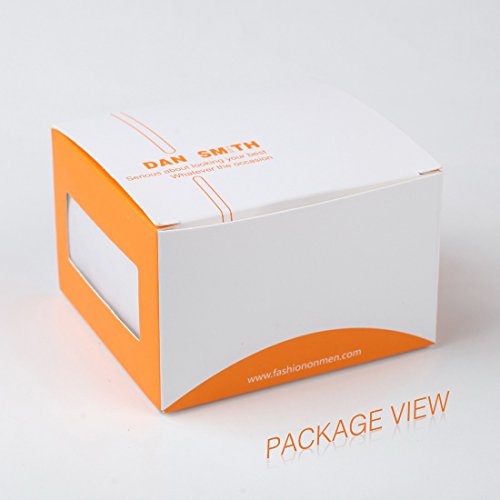 DAA3E01O Pure White Solid Woven Microfiber Tie Elegant Ties Leadership For Groom By Dan Smith