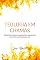 Livro Teologia Em Chamas