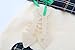 LO LORD LO Christmas Stocking for Pet Dog Cat Large Paw Stocking for Personalize (Green)