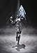S.H. Figuarts : Axel World Silver Crow