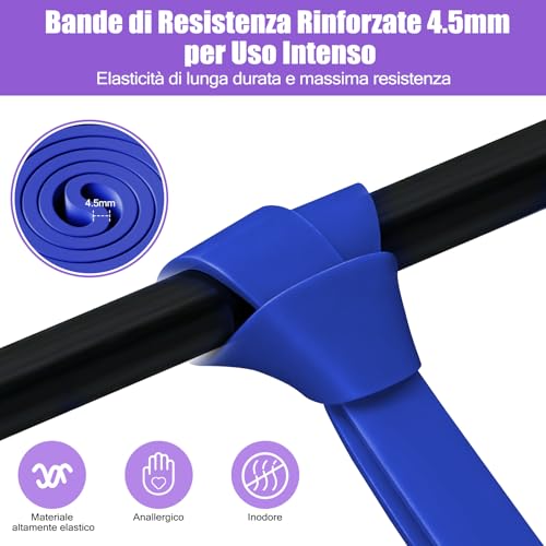 Fokky Elastici Fitness 5 Livelli di Resistenza, Elastico Palestra con Ancora per Porta,Guida agli Esercizi e Borsa da Trasporto per Allenamento di Forza,Stretching,Calisthenics,CrossFitness
