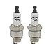 Briggs & Stratton 796112-2pk Spark Plug (2 Pack) Replaces J19LM, RJ19LM, 802592, 5095K
