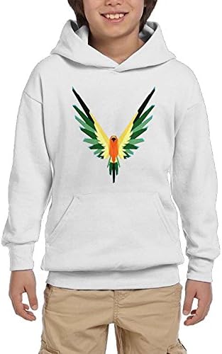 Logan Paul Maverick,Big Boys' Or Girls 100% Cotton Hoodie