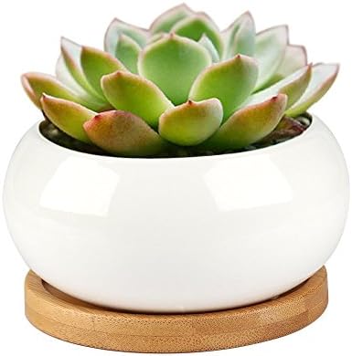 Binwen Modern White Ceramic Round Designer Succulent Planter / Cactus Pot / Decorative Flower Holder Bowl
