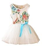 Little Love Summer Girls Cotton Sleeveless Floral Print Tulle Tutu Dress