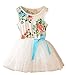 Little Love Summer Girls Cotton Sleeveless Floral Print Tulle Tutu Dress