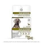 Product image for barcode 724089113429