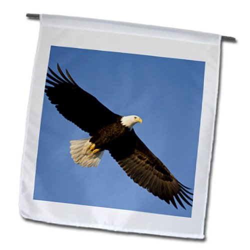 Danita Delimont - Eagles - Bald Eagle, Homer, Alaska - NA02 DNO0626 - David Northcott - 18 x 27 inch Garden Flag (fl_84016_2)