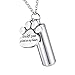 HooAMI Cremation Jewelry Pet Dog Paw Charm & Cylinder Memorial Urn Necklace Keychain 28mmx11mm