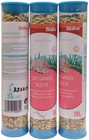 Seedboy Organic Cat Grass Seeds for Planting, Non-GMO Wheat, Oat, Rye, and Barley Cat Grass for Indoor Cats (16 oz