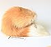 Fosrion Real Fox Tail Fur Handbag Charm Cosplay Toy with clasp keyChain and Hook (Golden)