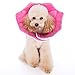 Alfie Pet by Petoga Couture - Noah Recovery Collar (for Dogs and Cats) - Pattern: Pink Pom Pom, Size: Small