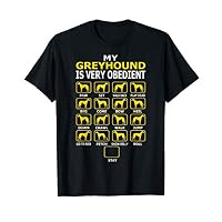 Greyhound Very Obedient Stubborn Tricks