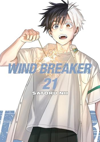 WIND BREAKER 18: Nii, Satoru: 9781646519651: Amazon.com: Books