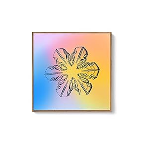 Framed Canvas Wall Art for Living Room, Bedroom Snowflake Theme Canvas Prints for Home Decoration Ready to Hang - 16x16 inches