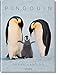 Frans Lanting. Pingouin: FO (PHOTO) (French Edition) by 