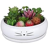 Koolkatkoo 8 Inch Large Cute Cat Ceramic Succulent