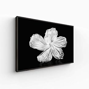 Canvas Wall Art for Living Room, Bedroom Monochrome Plants Framed Canvas Prints for Home Decoration Ready to Hang - 16x24 inches