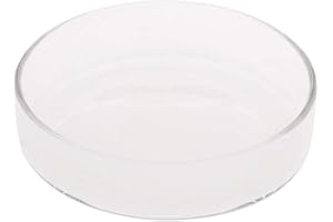 Youngy Arrival Fish Tank Feeder Aquarium Shrimp Glass Feeding Bowl Dish Tray 6 Size - D