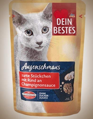 bestes nassfutter kitten