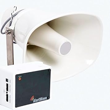 wireless horn speaker