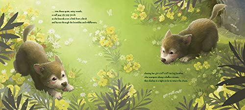 In the Quiet, Noisy Woods - Thumbnail 2