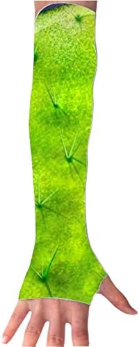 UV Protection Cooling Arm Sleeves Desert Life Sunblock Cooler Sports Gloves 1 Pair Long Arm Cover