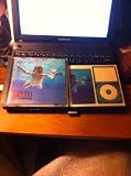 Disco de Nirvana: «Nevermind» (Anverso) Disco de Nirvana: «Nevermind» (Anverso)