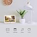 Digital Picture Frame, HP 10.1 inch WiFi Photo Frame, 1280×800 HD IPS Display, 8GB Internal Storage, iPhone & Android App, Support Photo, Music, Calendar with Built-in Speakers – Goldenthumb 2