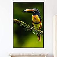Framed Canvas Wall Art Single Bird Birds Expressive Farmhouse/Country Multicolor Photography Portrait Single - 16x24 inches