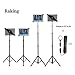 IPad Tripod Stand, Raking Foldable Floor Height Adjustable Tablet Tripod Stand for iPad Mini, iPad Air, iPad 1,2,3,4 and Most 7-12 Inch Tablets, Carrying Case and Flashlight as Gifts