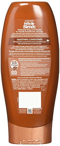 Garnier Whole Blends Conditioner - Image 2