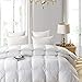 Luxurious 800 Thread Count Hungarian Goose Down Comforter Duvet Insert - Full/Queen Size, 750 Fill Power, 50 oz Fill Weight, 100% Egyptian Cotton Cover