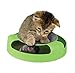 Gizmo Pet Product's Cat Mice Toy for Kittens Catch The Mouse Motion Cat Toy Sold Pet Products Most Interactive Toy for Cats Fun to Play with & Amusing to Watch Get It Now, Green, Grau (2.7244E+12)
