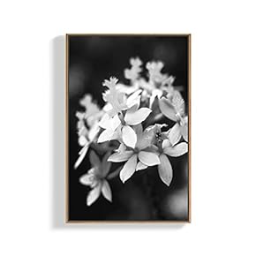 Canvas Wall Art for Living Room, Bedroom Plants Framed Canvas Prints for Home Decoration Ready to Hang - 16x24 inches