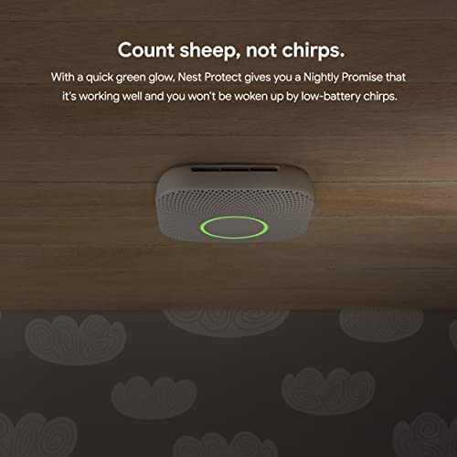 Google Nest Protect Smoke Alarm Smoke Detector and Carbon
