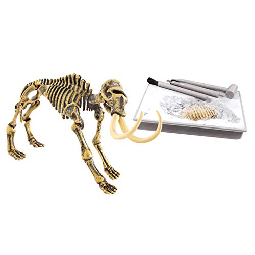 10 Best Archaeology & Paleontology Kits for Kids Best Deals for Kids