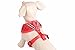 PUPTECK Soft Mesh Dog Harness and Leash Set Pet Puppy Cat Comfort Padded Vest No Pull Harnesses, Deep Red, M
