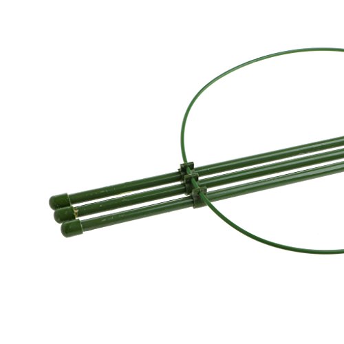 Museourstyty Ranksäule aus Stahl, 45 cm oder 60 cm, konisches Rankgitter, für Blumen, Pflanzen, Rankhilfe – Bild 7