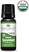 Plant Therapy USDA Certified Organic Spearmint Essential Oil 10 mL (1/3 oz) 100% Pure, Undiluted, Therapeutic Grade