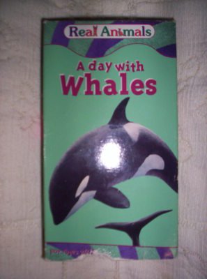 Real Animals: Day With Whales [VHS]