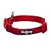 Blueberry Pet 6 Colors Better Basic Dog Collar, Rouge Red, X-Small, Neck 7.5