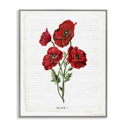 Stupell Industries Red Poppy Study Gray Framed Giclee Art Design by Danielle Mu…