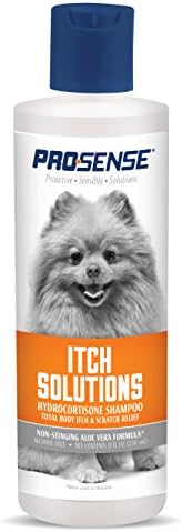 how often do you need to feed a hamster